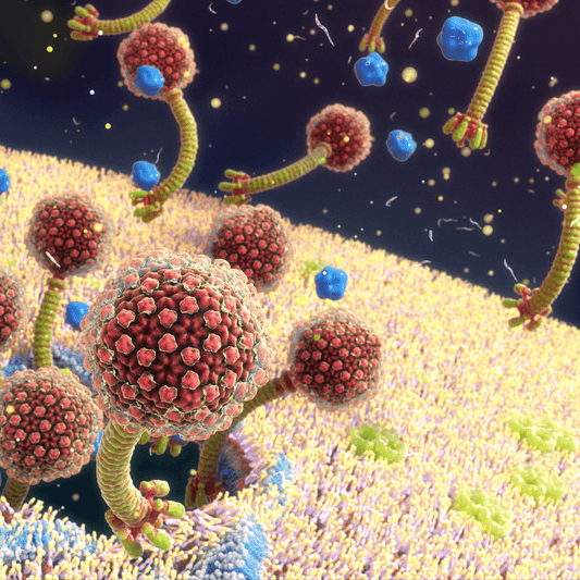 A KILLER VIRUS THAT IS GOOD FOR YOU